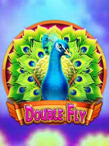 Double Fly
