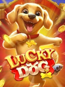 Lucky Dog