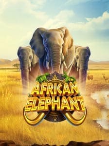African Elephant